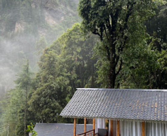 Treehouse in Jibhi