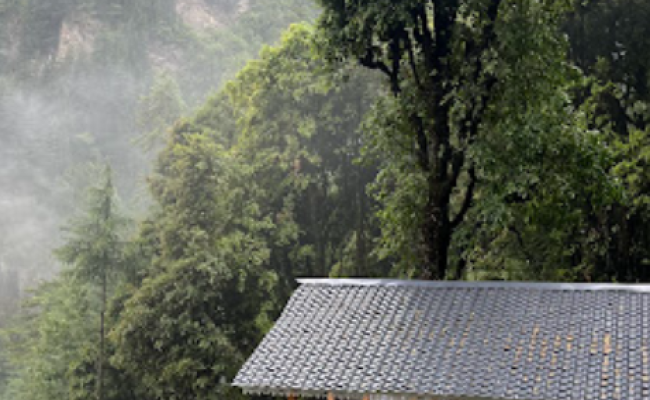 Treehouse in Jibhi