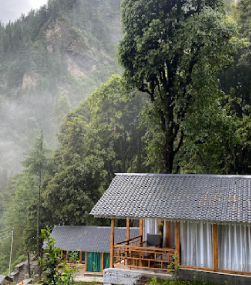 Treehouse in Jibhi